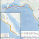 Illustration for article titled Gray Whale Sets New Migratory Record With Epic Pacific Voyage